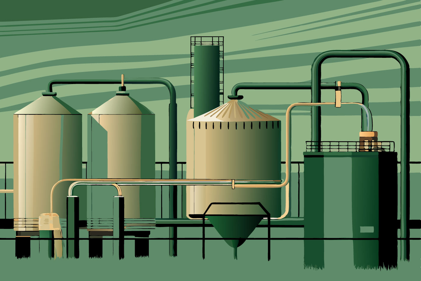 entrevista bioenergia